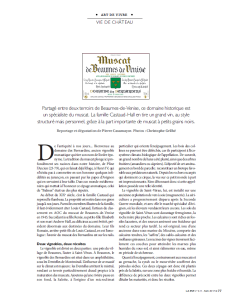 Vie de Château