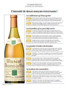 L'intensité de douze muscat renversants !